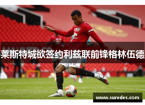莱斯特城欲签约利兹联前锋格林伍德