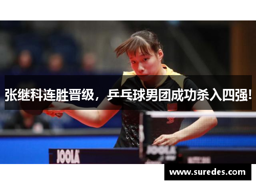 张继科连胜晋级，乒乓球男团成功杀入四强!